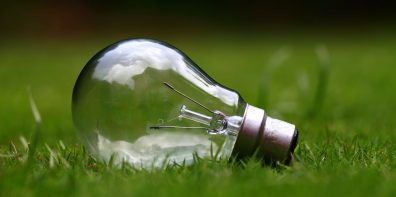 A light bulb on grass