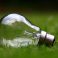 A light bulb on grass